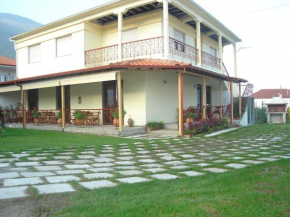 Rodavgi